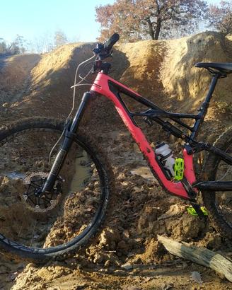 specialized enduro carbon