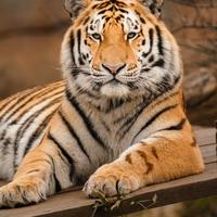 Casa in cambio di lavoro