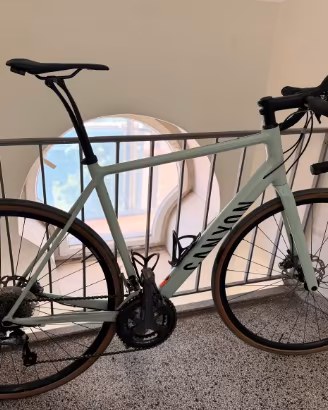 Canyon Endurace 6
