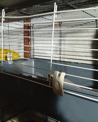 2 gabbie per conigli nani più trasportino