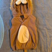 costume carnevale bambino 0-1 anno