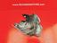 Immagine 12