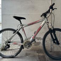 Mountain Bike Vicini