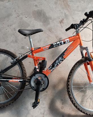 due biciclette