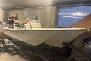 Boston whaler