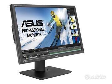 Asus 24 pollici per fotografi