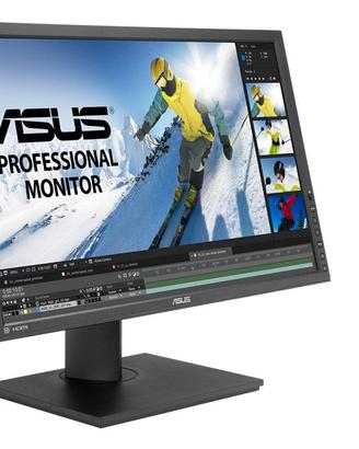 Asus 24 pollici per fotografi