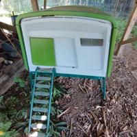 pollaio omlet eglu cube