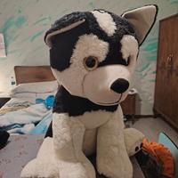 Peluche GIGANTE Husky/Malamute - Come nuovo - Alte