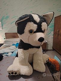 Peluche GIGANTE Husky/Malamute - Come nuovo - Alte