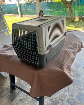 Trasportino cani