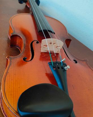 vecchio violino