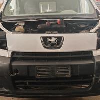 Peugeot expert scudo jumpy