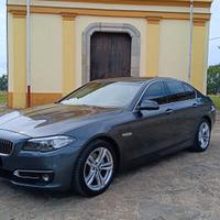 Bmw 520 520d xDrive Luxury