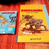 Libro e carte da gioco dei dinosauri 