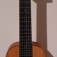 Cordoba mini M