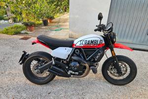 Ducati Scrambler 800 Urban Motard 2022