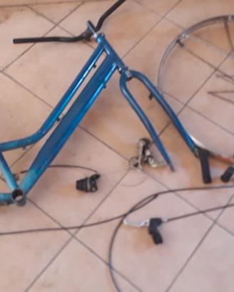 Bici