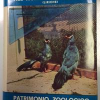 Libro Uccelli. Nel mondo dei cinguettii