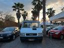 iveco-daily