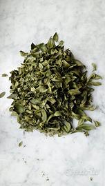 Foglie di mirto essiccate