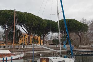 Barca Vela Dehler Varianta 65