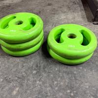 5 dischi da 5 kg palestra