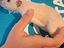 Immagine 4