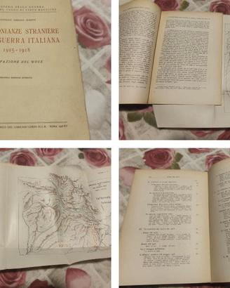 Libro: Testimonianze straniere guerra italiana