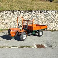 Goldoni Transcar 20 RS