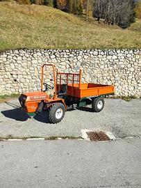 Goldoni Transcar 20 RS