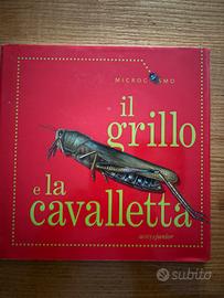 Il grillo e la cavalletta Motta junior