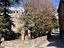 Immagine 11