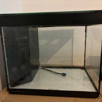 Acquario
