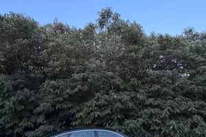 Audi A5 SPB 2.0 TDI 150 CV clean diesel multitroni
