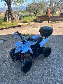 Quad 110cc per bambini