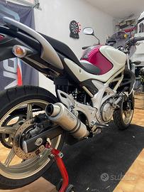 Suzuki Gladius 650