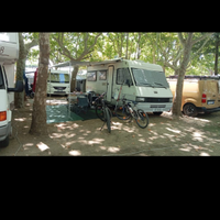 A malincuore Elnagh magnum 560 1994