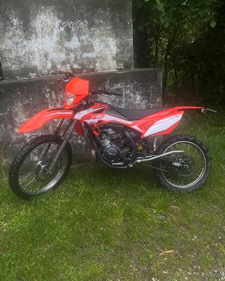 Beta rr 50
