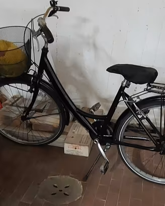 bicicletta
