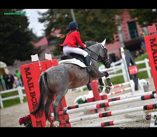 Doppio pony da salto