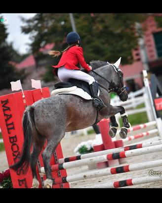 Doppio pony da salto