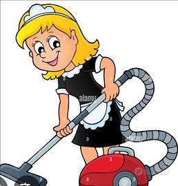 Collaboratrice Domestica