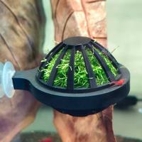 porta muschio a palla per acquario