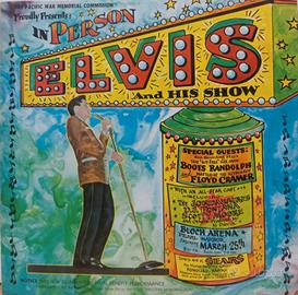 collezione vinili elvis presley