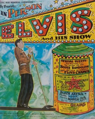 collezione vinili elvis presley