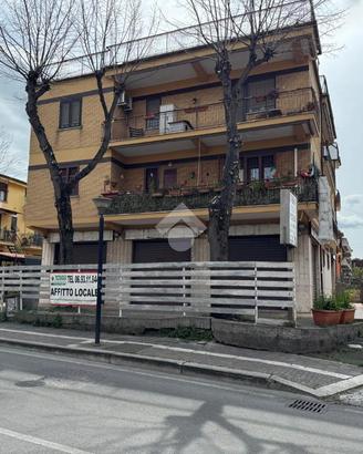 NEGOZIO A ALBANO LAZIALE
