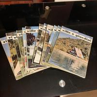 Riviste Ville e Giardini