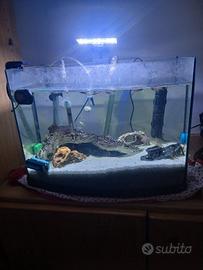 Acquario 30 litri