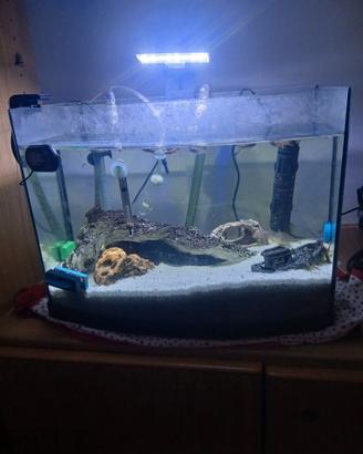 Acquario 30 litri